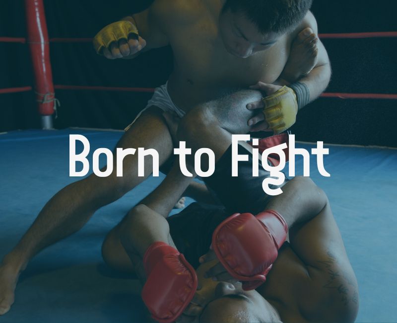born to fight