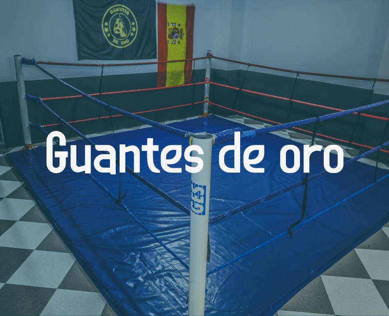 guantes de oro gimnasio