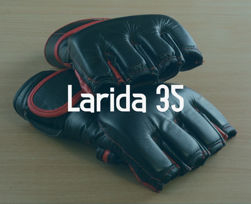 larida 35 evento